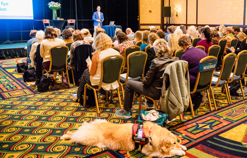 life coaching certification